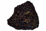 Polished Sericho Pallasite Meteorite ( g) Slice - Kenya #305724-2